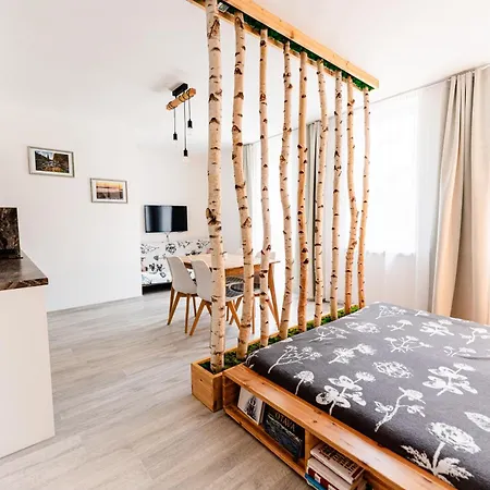 Apartman V Centru Zelezne Rudy Se Zahradkou Zelezna Ruda Exterior photo