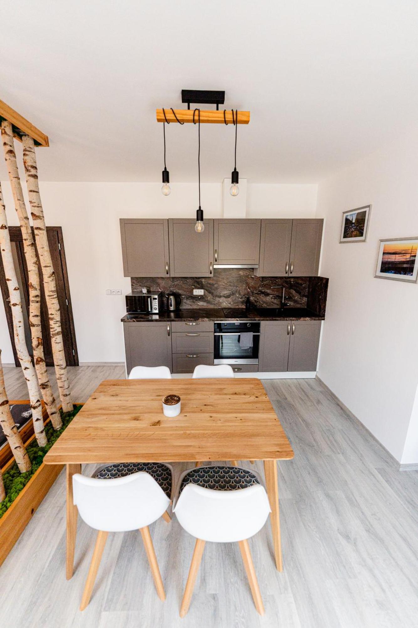 Apartment V Centru Zelezne Rudy Se Zahradkou Zelezna Ruda